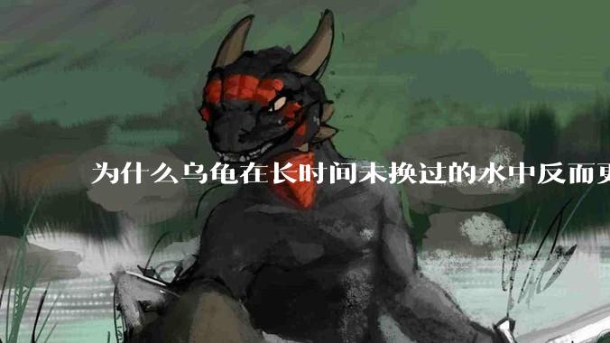 为什么乌龟在长时间未换过的水中反而更活跃？