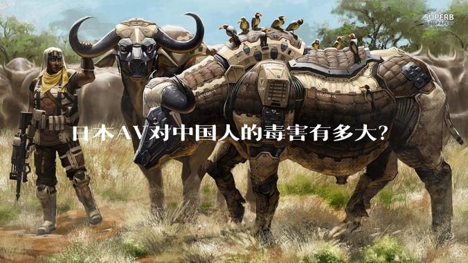 日本AV对中国人的毒害有多大？
