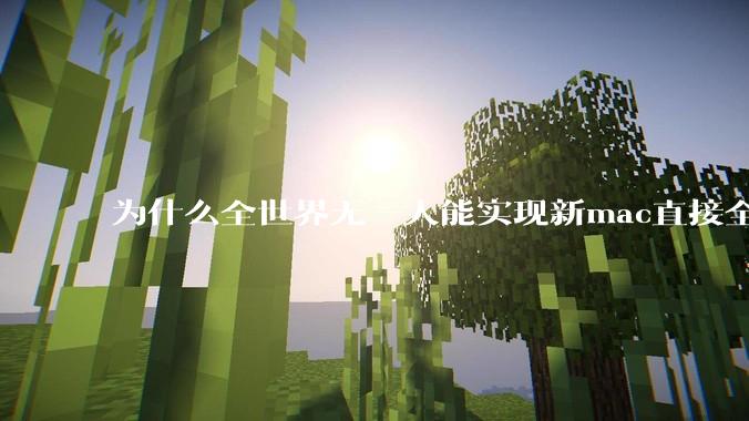 为什么全世界无一人能实现新mac直接全功能稳定装Win 11 arm，或PC直接装macOS arm？