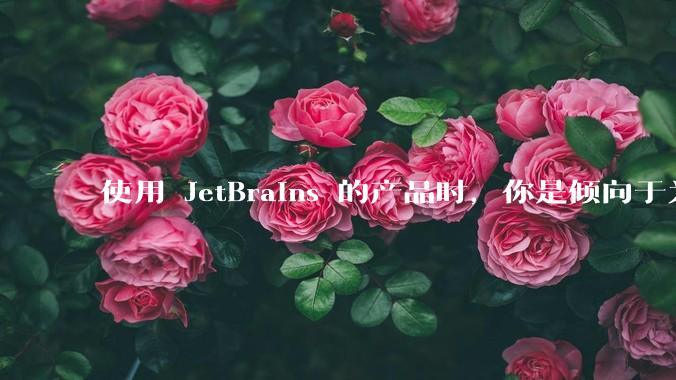 使用 JetBrains 的产品时，你是倾向于为每个语言分别安装 IDE，还是安装语言的插件？
