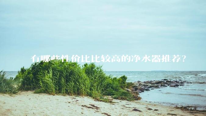 有哪些性价比比较高的净水器推荐？