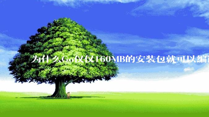 为什么Go仅仅160MB的安装包就可以编译程序，而Rust却还需要几个GB的VC++才能编译？