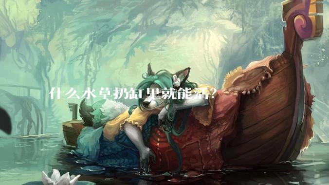 什么水草扔缸里就能活？