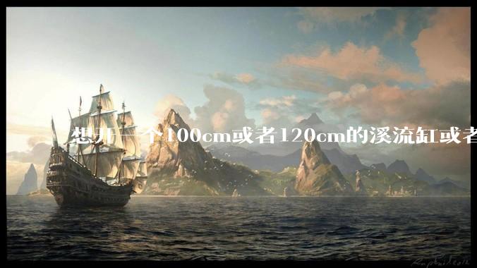 想开一个100cm或者120cm的溪流缸或者水草缸，有没有大佬指导一下，有哪些注意事项？